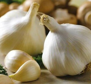 Применение чеснока при геморрое