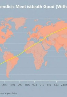Mortalitätsrate (Sterblichkeit) bei Appendizitis: una mirada global que sorprende y educa