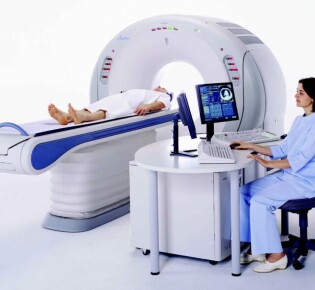 Нефила: величественные ткачихи с необычными способностями