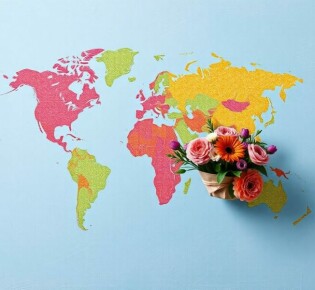 Цветы без границ: как работает международная служба доставки и как не потерять букет в дороге