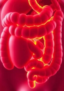 Peritonitis: Cuando la apendicitis se convierte en una emergencia que puede costar la vida