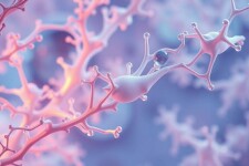 Лифтинг через генерацию тканей: можно ли «вырастить» молодость кожи?