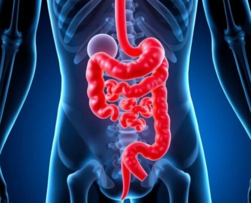 El misterio revelado: Comprendiendo la anatomía del apéndice