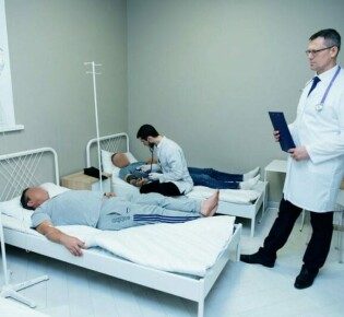 Загадочные создания ночи: удивительный мир рукокрылых