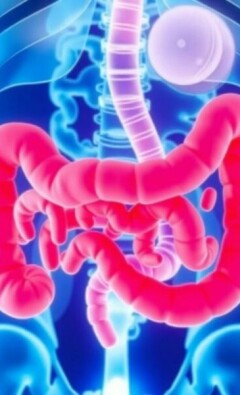 Appendicite et Antibiotiques : Une Alternative à la Chirurgie ?