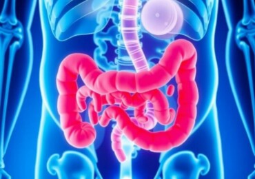 Appendicite et Antibiotiques : Une Alternative à la Chirurgie ?