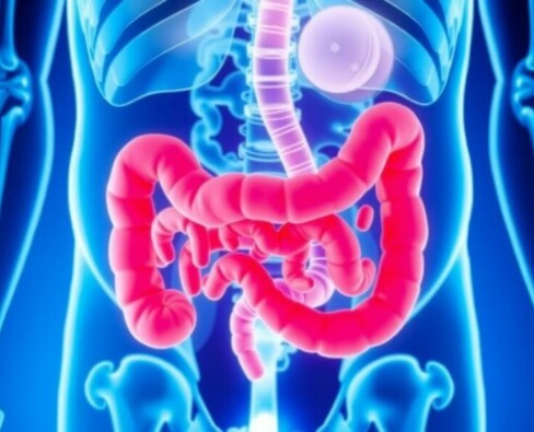 Appendicite et Antibiotiques : Une Alternative à la Chirurgie ?