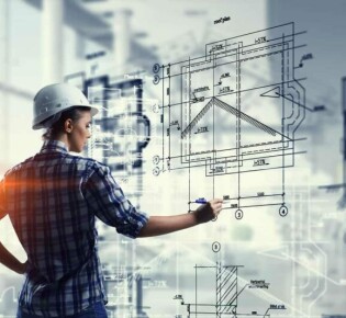 Удивительный животный мир Австралии: от кенгуру до ядовитых пауков