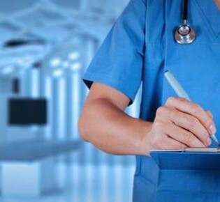 Удивительный мир грызунов: маленькие чудеса природы