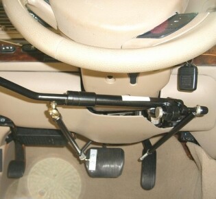 Жаба: удивительный мир незамеченных чудес