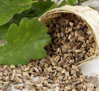 Способы лечения геморроя с помощью коры дуба