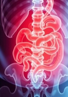 Escuchando el cuerpo: el papel de la historia clínica al sospechar apendicitis