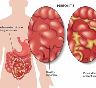 Чудеса на страницах: Сказки для детей 4-5 лет