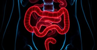 Appendicite chez les Personnes Âgées : Symptômes Atypiques