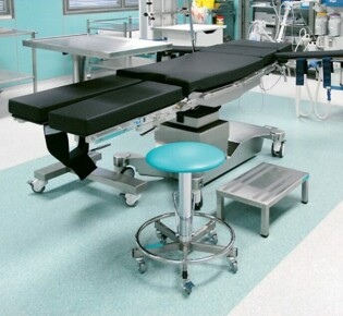 Симфония природы: Как поют разные птицы