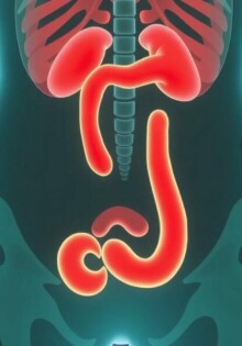 Schwangerschaft und Appendizitis: Doppeltes Risiko verstehen und bewältigen