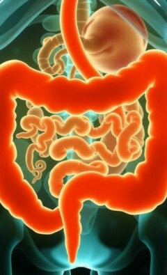 Unraveling the Connection Between Appendicitis and Gut Microbiota