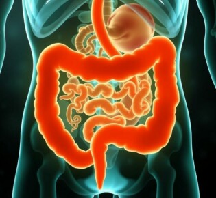 Unraveling the Connection Between Appendicitis and Gut Microbiota