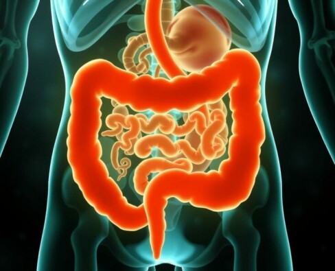 Unraveling the Connection Between Appendicitis and Gut Microbiota