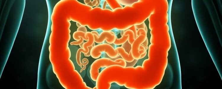 Unraveling the Connection Between Appendicitis and Gut Microbiota