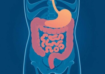 Apéndice: lo que todos deberíamos saber — Educación en salud para entender, prevenir y actuar