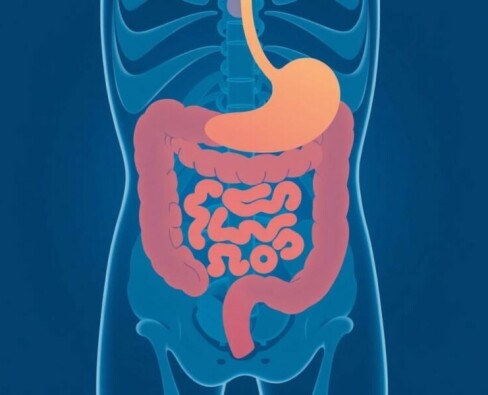 Apéndice: lo que todos deberíamos saber — Educación en salud para entender, prevenir y actuar