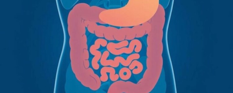Apéndice: lo que todos deberíamos saber — Educación en salud para entender, prevenir y actuar