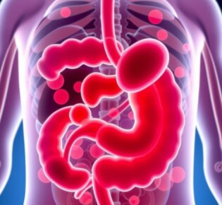 Иммуномодуляторы в гастроэнтерологии: как укрепить защиту кишечника