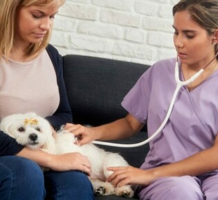 Что такое турецкое седло в головном мозге у взрослого: пустое как у женщин на МРТ