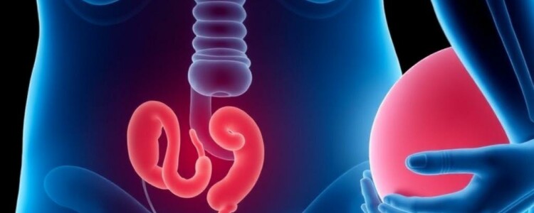 Cuando el apéndice y el embarazo se cruzan: riesgos de la apendicitis y la apendicectomía para el feto