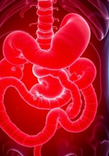 Nuevos protocolos para la gestión ambulatoria de la apendicitis: un cambio de paradigma que invita a pensar distinto