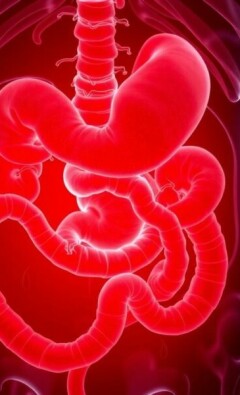 Nuevos protocolos para la gestión ambulatoria de la apendicitis: un cambio de paradigma que invita a pensar distinto