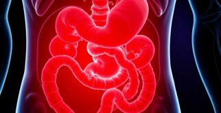 Nuevos protocolos para la gestión ambulatoria de la apendicitis: un cambio de paradigma que invita a pensar distinto