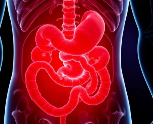 Nuevos protocolos para la gestión ambulatoria de la apendicitis: un cambio de paradigma que invita a pensar distinto