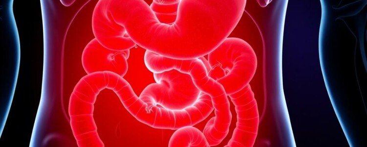 Nuevos protocolos para la gestión ambulatoria de la apendicitis: un cambio de paradigma que invita a pensar distinto