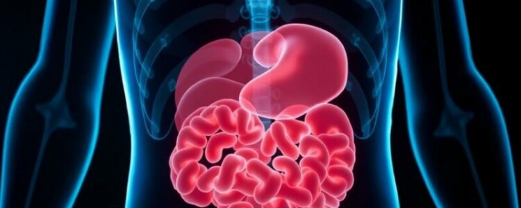 Das akute Abdomen: Ein Notfall