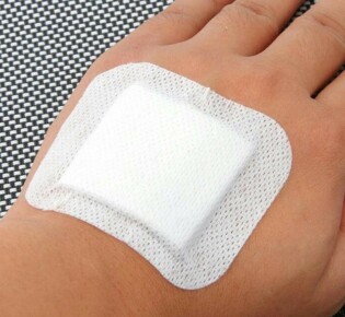 Панды и их лакомства: Разбираемся, что едят эти милые создания