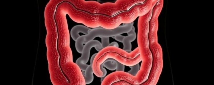 Die Embryologie des Darmtraktes und die Entstehung des Appendix: un viaje íntimo desde el embrión hasta el apéndice