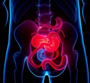 Appendizitis bei Kindern: Besonderheiten der Diagnose und wie man sie sicher erkennt