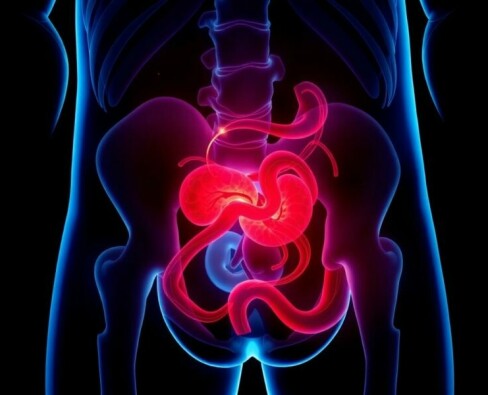 Appendizitis bei Kindern: Besonderheiten der Diagnose und wie man sie sicher erkennt