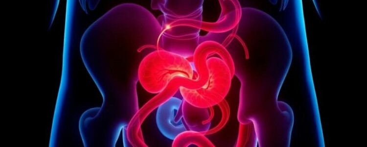 Appendizitis bei Kindern: Besonderheiten der Diagnose und wie man sie sicher erkennt