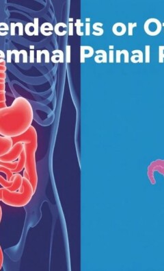 Appendicite ou Autres Douleurs Abdominales : Comment Différencier ?