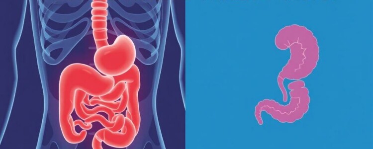 Appendicite ou Autres Douleurs Abdominales : Comment Différencier ?