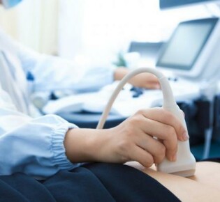 Стрепет: Удивительный мир одного из самых редких птиц!