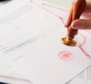 Конек полевой: пернатый акробат лугов и полей