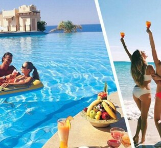 Африканский еж: маленький герой дикой природы