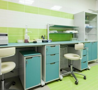 Ужасы и тайны пирань: погружение в мир хищных рыб