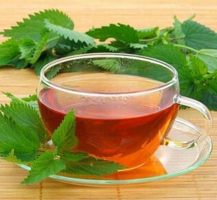 Как лечить геморрой с помощью крапивы