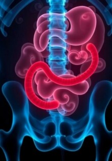 Apendicitis en adultos mayores: la presentación silenciosa que exige atención