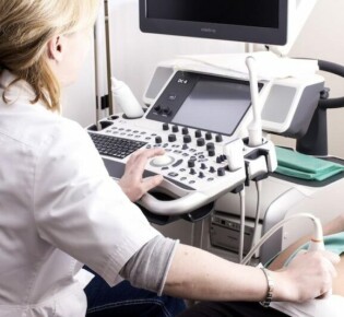 Что едят ужи? Погружаемся в мир этих удивительных змей